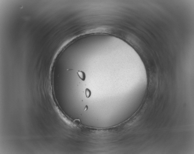 X0000066960800200603311422