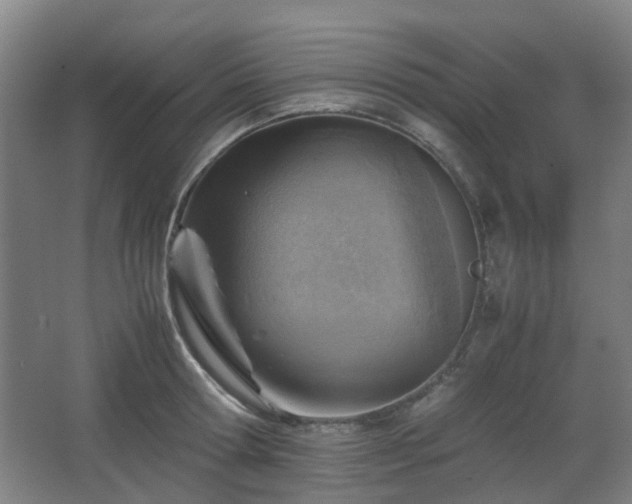 X0000066960802200603311422