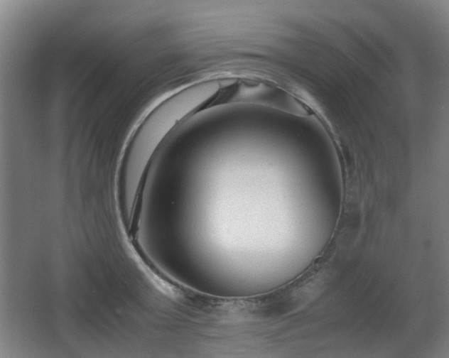 X0000066960803200603311422