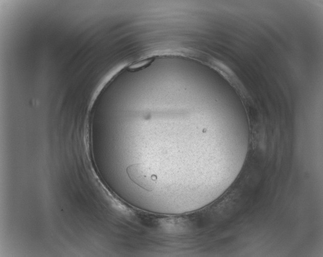 X0000066960804200603311422