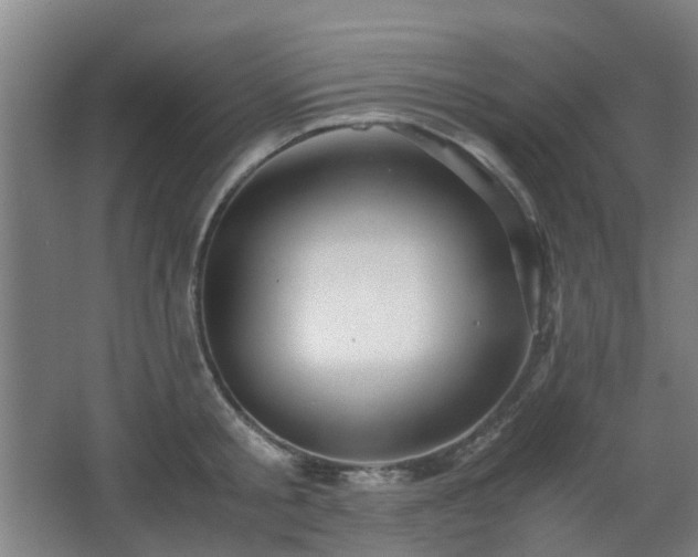 X0000066960805200603311422