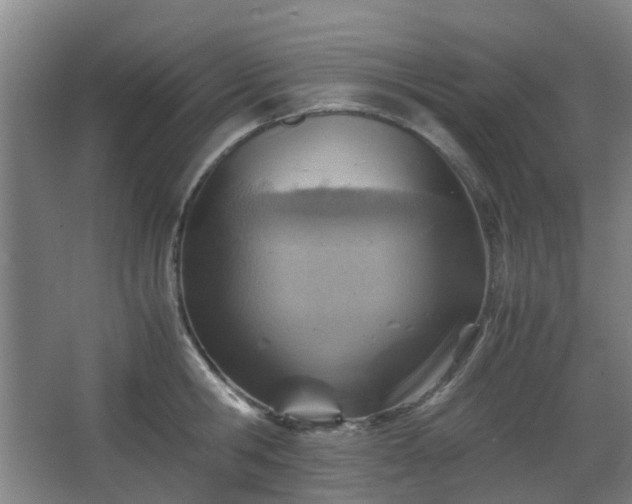 X0000066960806200603311422