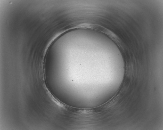 X0000066960808200603311422