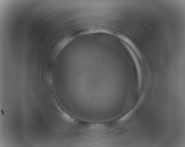 X0000066960809200603311422