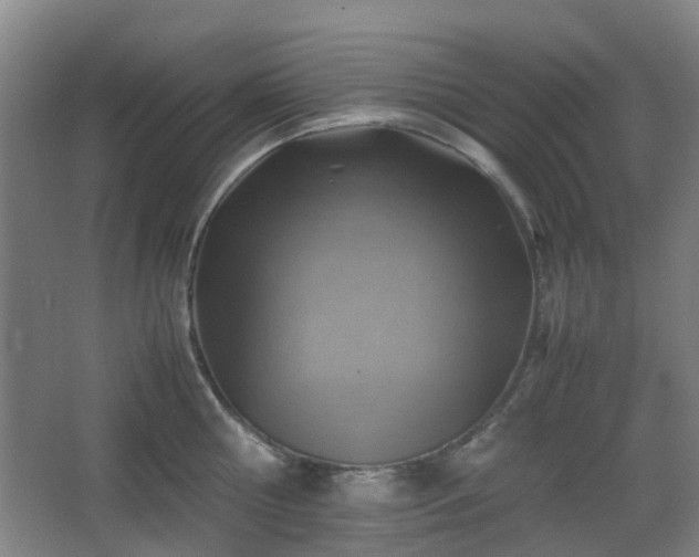 X0000066960810200603311422