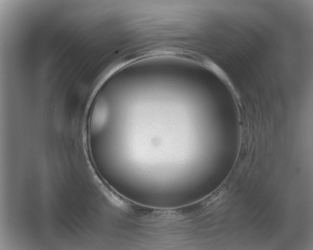 X0000066960811200603311422