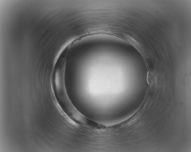 X0000066960812200603311422