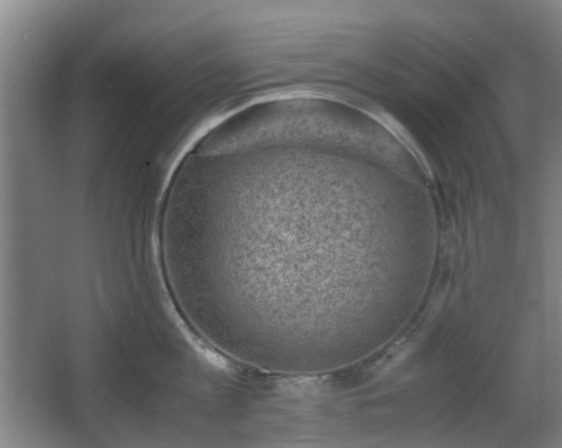 X0000066960813200603311421