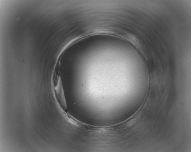 X0000066960814200603311421