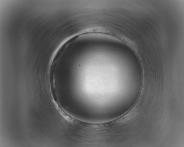 X0000066960816200603311421