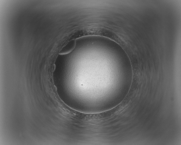 X0000066960817200603311421