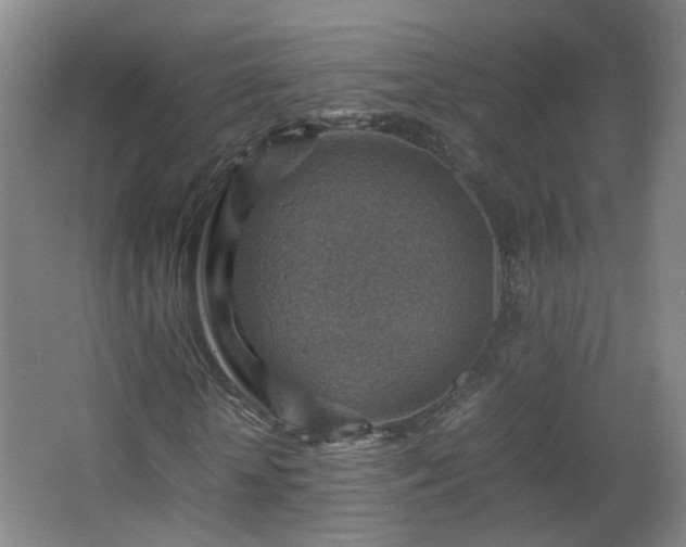 X0000066960818200603311421