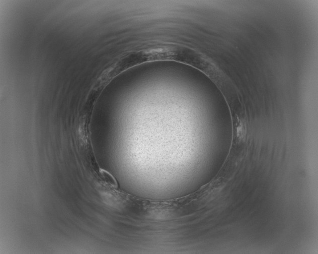 X0000066960819200603311421