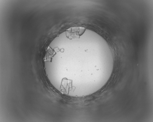 X0000066960820200603311421