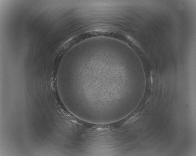 X0000066960822200603311421