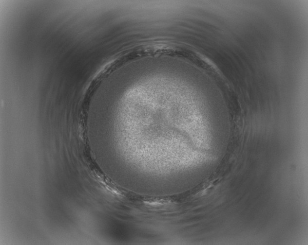 X0000066960823200603311421