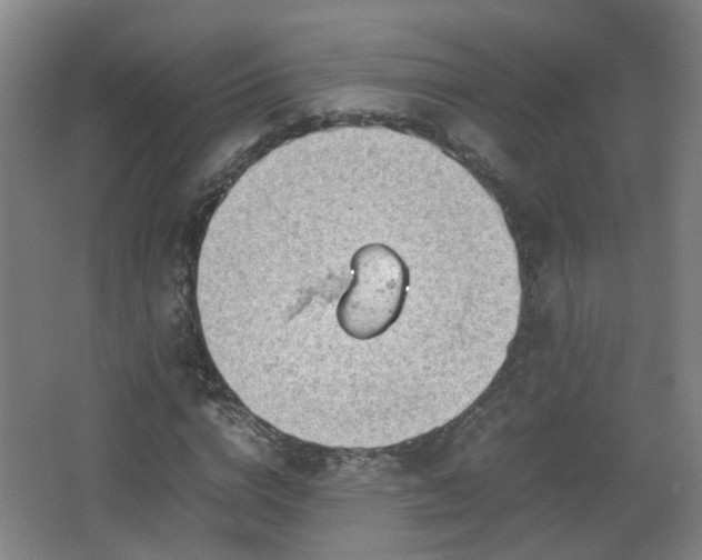 X0000066960824200603311421