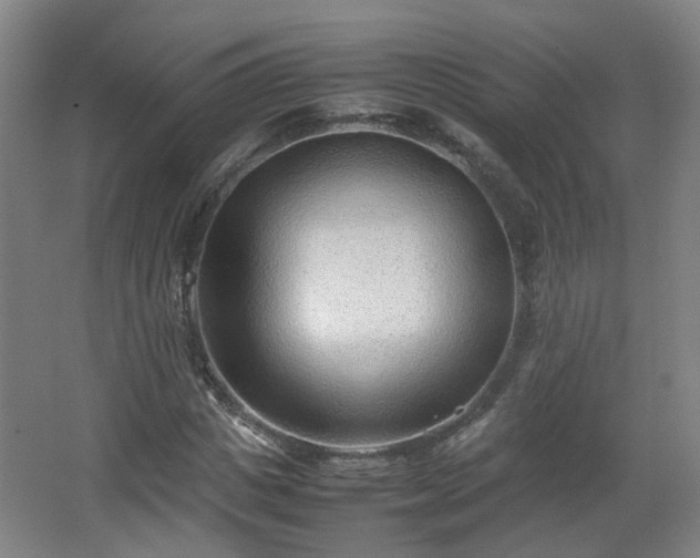 X0000066960825200603311421