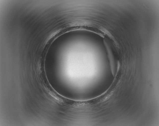 X0000066960826200603311421