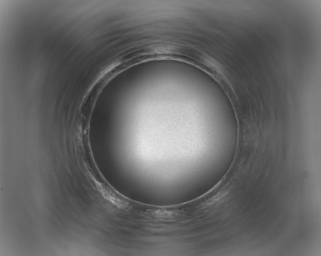 X0000066960827200603311421