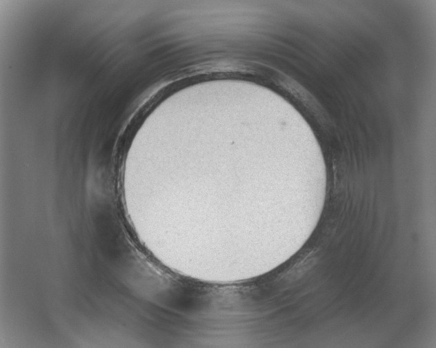 X0000066960828200603311421