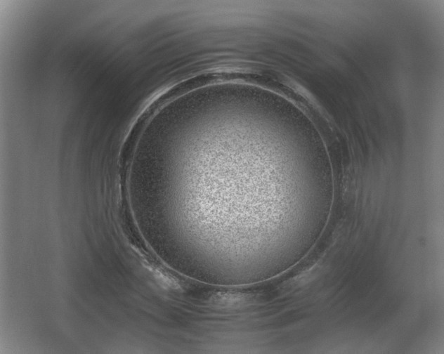 X0000066960829200603311421