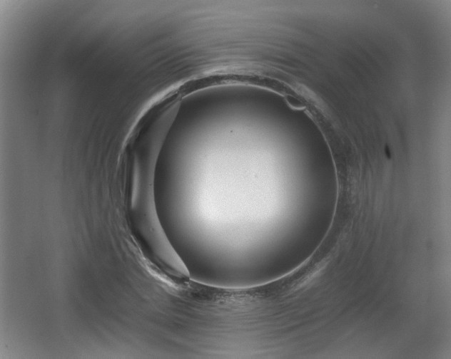 X0000066960830200603311421