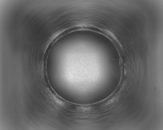 X0000066960831200603311421