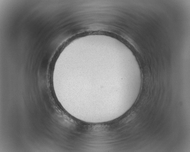 X0000066960832200603311421