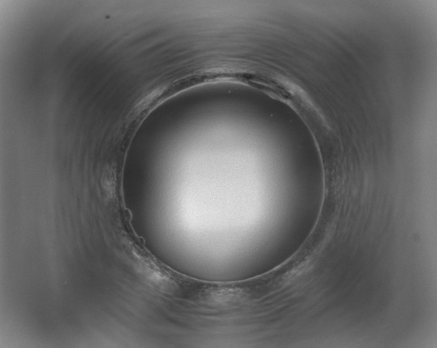 X0000066960833200603311421