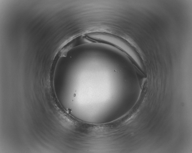 X0000066960834200603311421