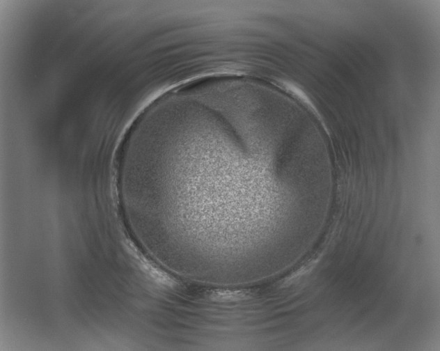 X0000066960835200603311421