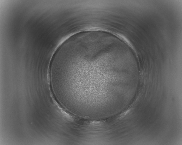 X0000066960839200603311421