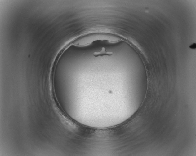 X0000066960840200603311421