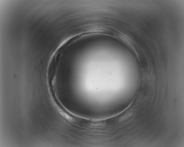 X0000066960843200603311421