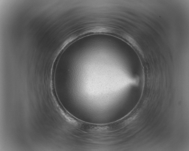 X0000066960845200603311421