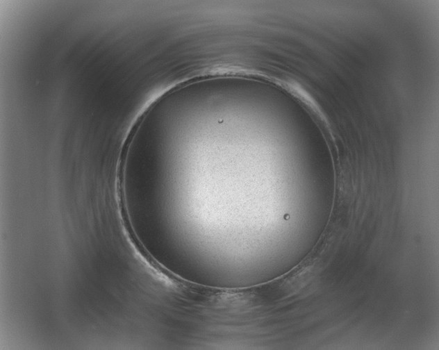 X0000066960847200603311421