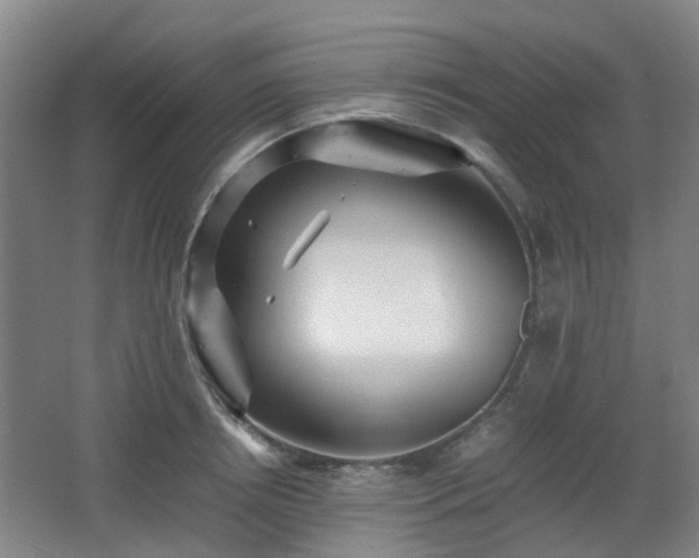 X0000066960850200603311421