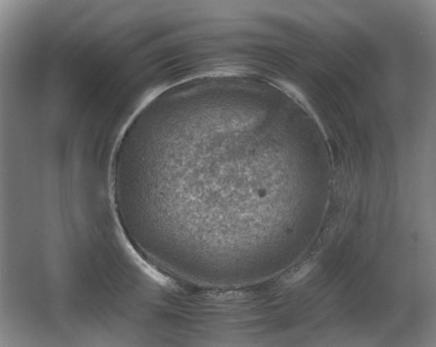 X0000066960851200603311421