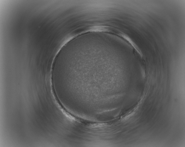 X0000066960853200603311421