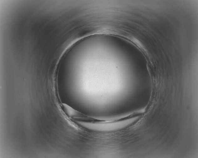 X0000066960854200603311421