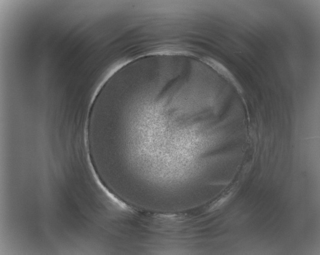 X0000066960855200603311421