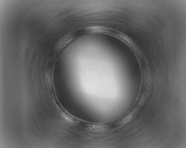 X0000066960857200603311421