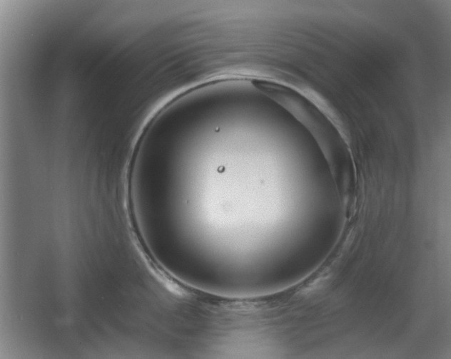 X0000066960862200603311421