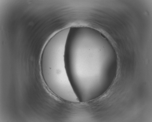 X0000066960864200603311421