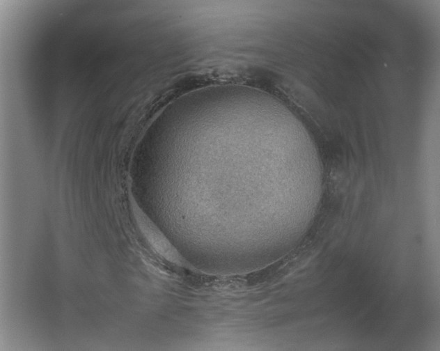 X0000066960865200603311421