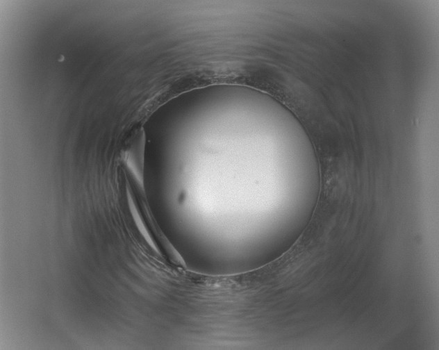 X0000066960866200603311421