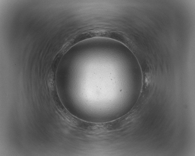 X0000066960867200603311421