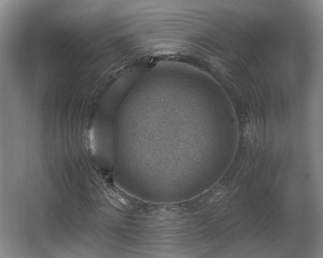 X0000066960868200603311421