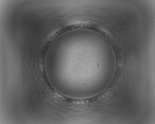 X0000066960869200603311421